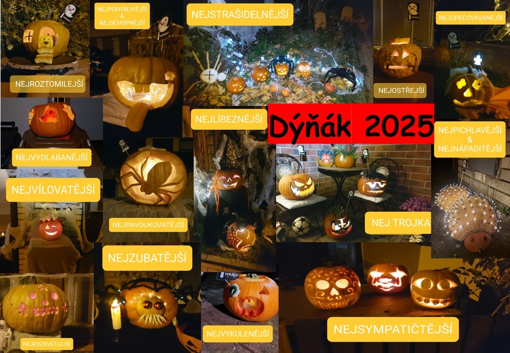 dynak-2025.jpg
